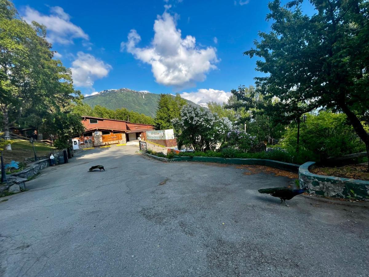 Villa Indian Ak 25 Min To Anchorage & 25 Min To Girdwood Exterior foto