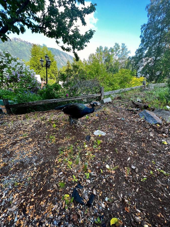 Villa Indian Ak 25 Min To Anchorage & 25 Min To Girdwood Exterior foto