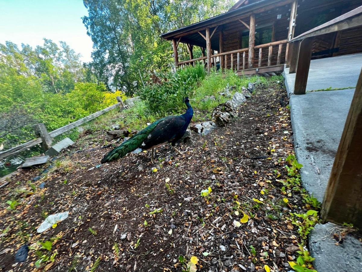 Villa Indian Ak 25 Min To Anchorage & 25 Min To Girdwood Exterior foto